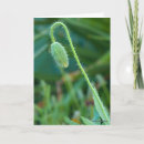 Search for beginnings photography Floral