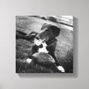 Search for maverick art Dog