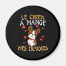 Search for homework magnets Student