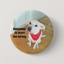 Search for flying badges Adorable
