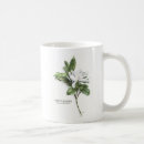 Search for gardenia mugs Botanical