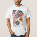 Search for jellyfish tshirts Ernst haeckel