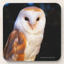 Search for outdoor coasters White