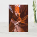 Search for antelope cards Arizona