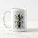 Search for praying mantids mugs Entomology