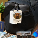 Search for highland cattle luggage tags Scotland