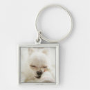 Search for your sofa accessories Cute
