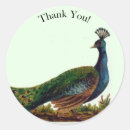 Search for bird feather stickers Thank you