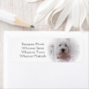 Search for westie return address labels West highland white terrier