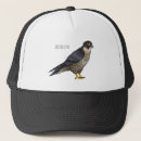 Search for falconer hats Raptor