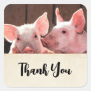 Search for cute piglet stickers Baby pig