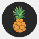 Search for cool graphic stickers Fun