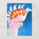 Search for neon pink postcards Tropical