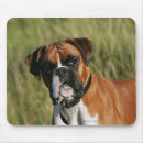 Search for boxer dog mouse mats Bob and pam langrish