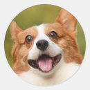 Search for add a photo stickers Dog