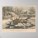 Search for wolf pack posters Wolves