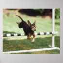 Search for hurdles posters Jumping