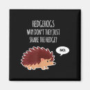 Search for hedgehog magnets Retro