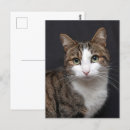 Search for single vertical postcards Photography