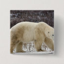 Search for ursus badges Bear