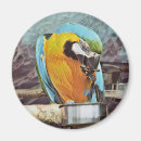 Search for macaw magnets Pet