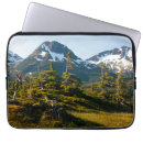 Search for spruce cases Forest