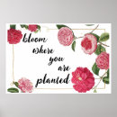 Search for bloom where you are planted posters Nature