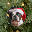 Search for terrier christmas tree decorations Festive