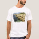 Search for minorca tshirts Cindy miller hopkins
