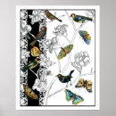 Search for black and white butterfly posters Design