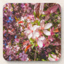 Search for nature coasters Clouds