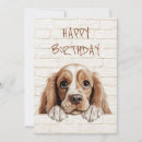 Search for american cocker cards Puppy
