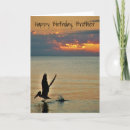 Search for bird flight cards Ocean