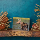 Search for danita delimont plaques Chuck haney