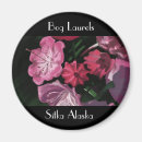 Search for laurel magnets Pink