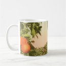 Search for orange grove mugs Citrus