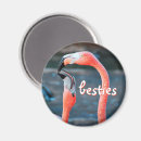Search for bird round magnets Waterfowl