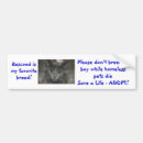 Search for breed rescue bumper stickers Kitten