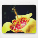 Search for flower spot mouse mats Yellow