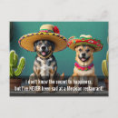 Search for sombreros postcards Funny