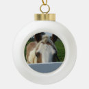 Search for palomino horse christmas tree decorations Equestrian