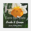 Search for daffodil save the dates Yellow