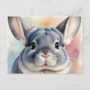 Search for chinchilla postcards Pet