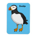 Search for puffins magnets Seabird