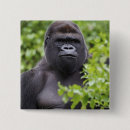 Search for captive badges Mammal
