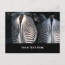 Search for funny wildlife postcards Animals