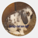 Search for hare stickers Cute