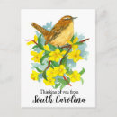 Search for thinking of you postcards Animal