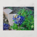 Search for bonnet postcards Garden