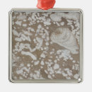 Search for fossil christmas tree decorations Prehistoric